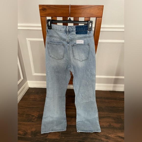 Flying Monkey - Picture 2 of 2